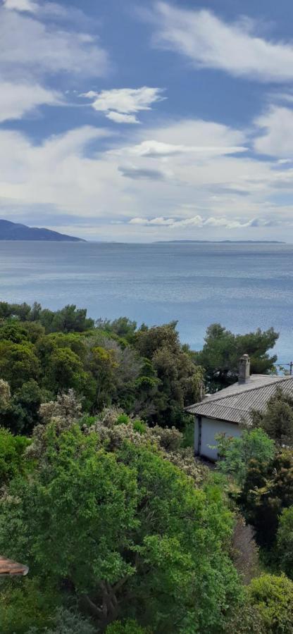 Apartment Senka - Oliver Martinscica (Cres)